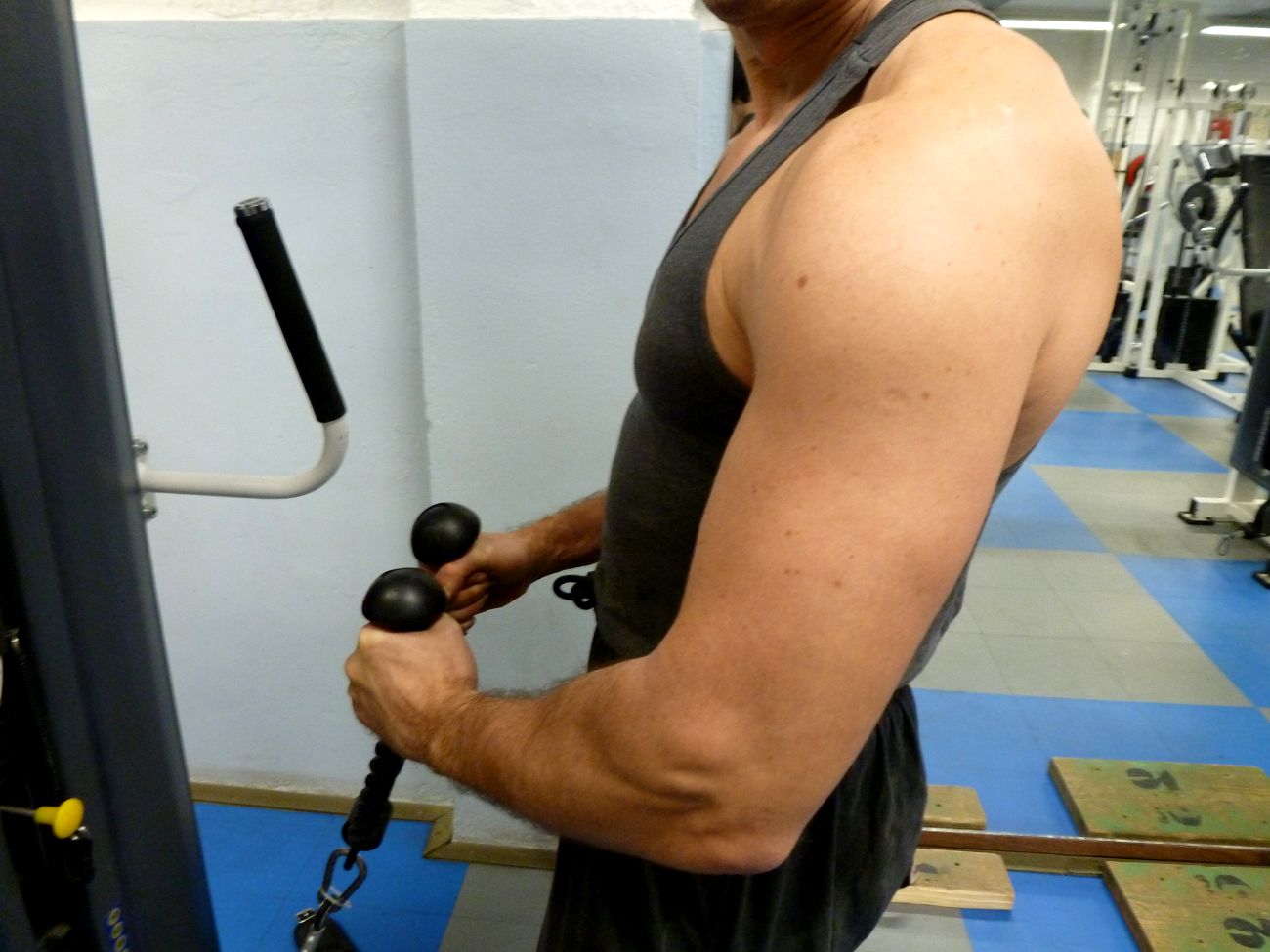 Travailler biceps  quel programme choisir pour muscler son 